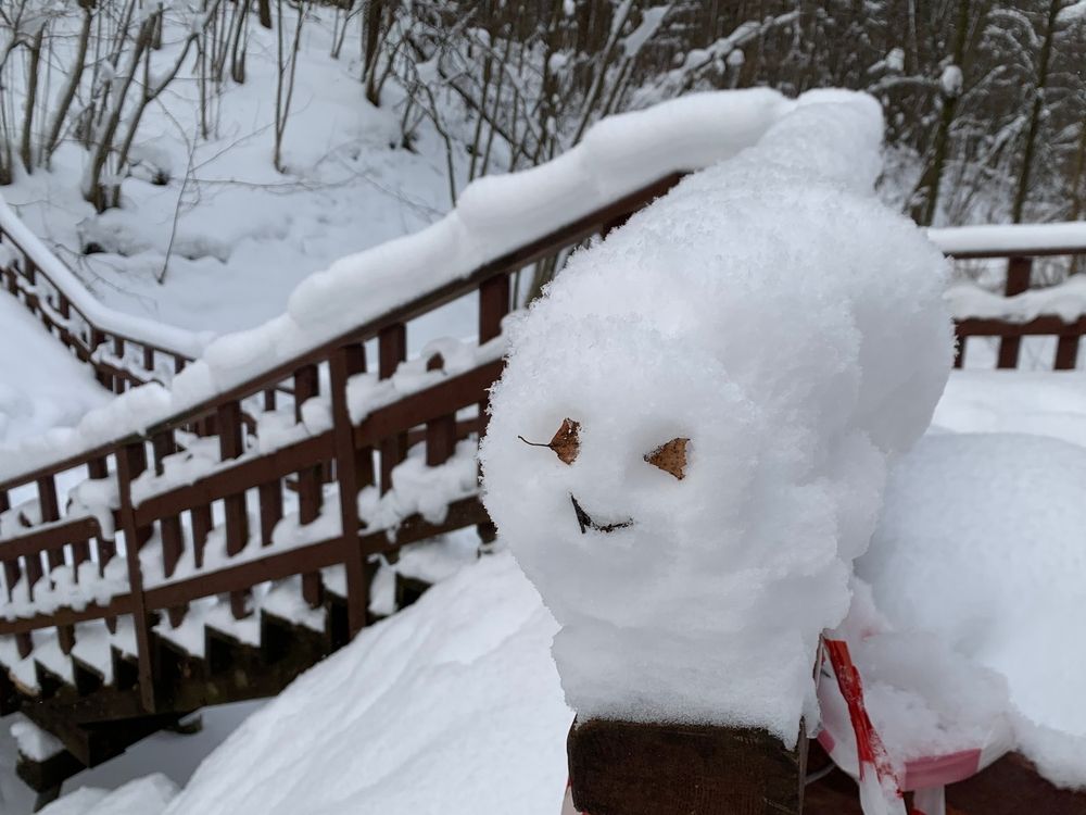 Photograph by Ионова Татьяна