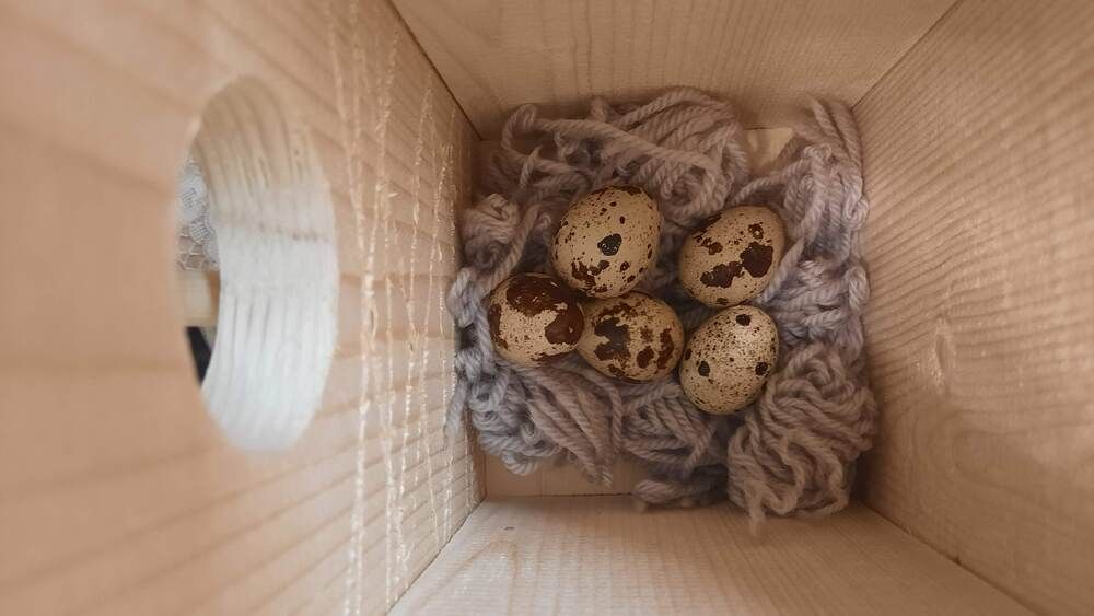 Photograph by Михаил Трусов