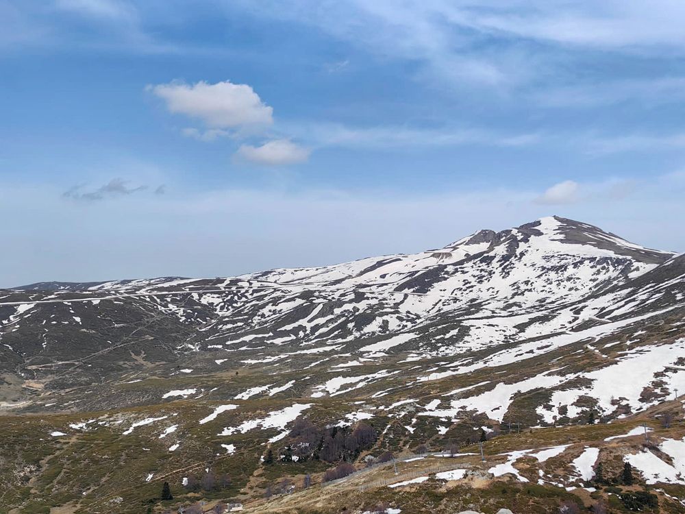 Фотография автора Walaa Ibrahim