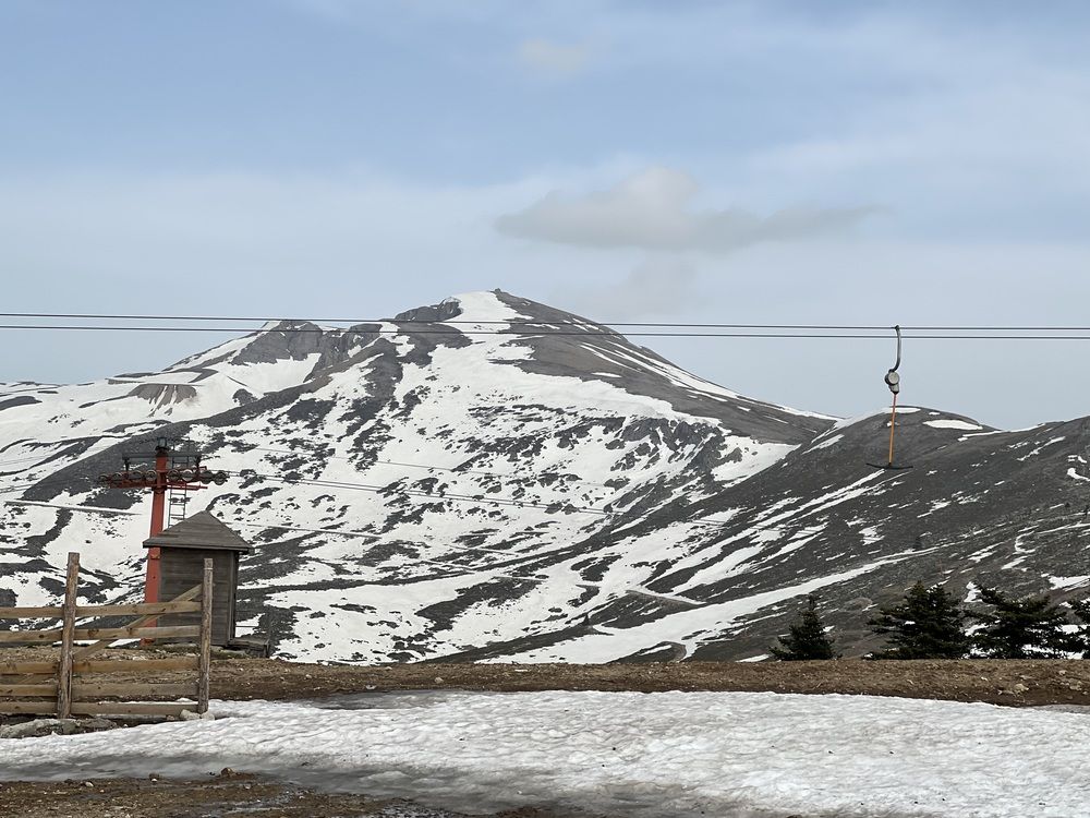 Фотография автора Walaa Ibrahim