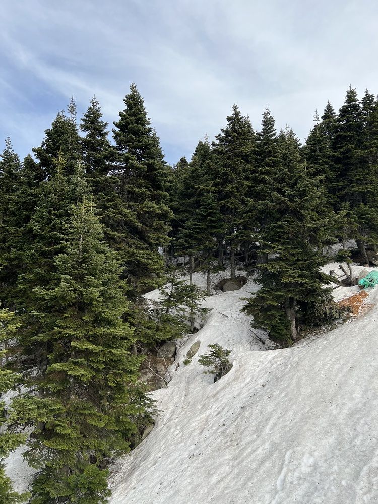 Фотография автора Walaa Ibrahim