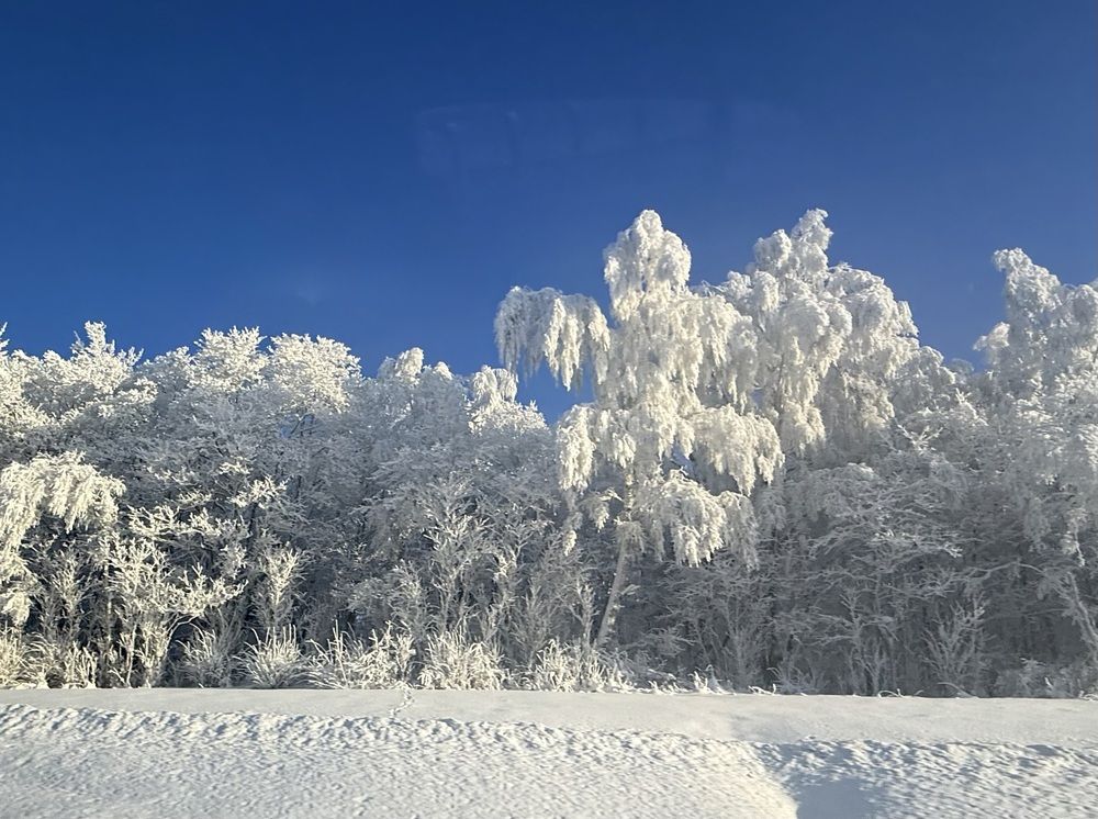 Photograph by Вера Сдвижкова