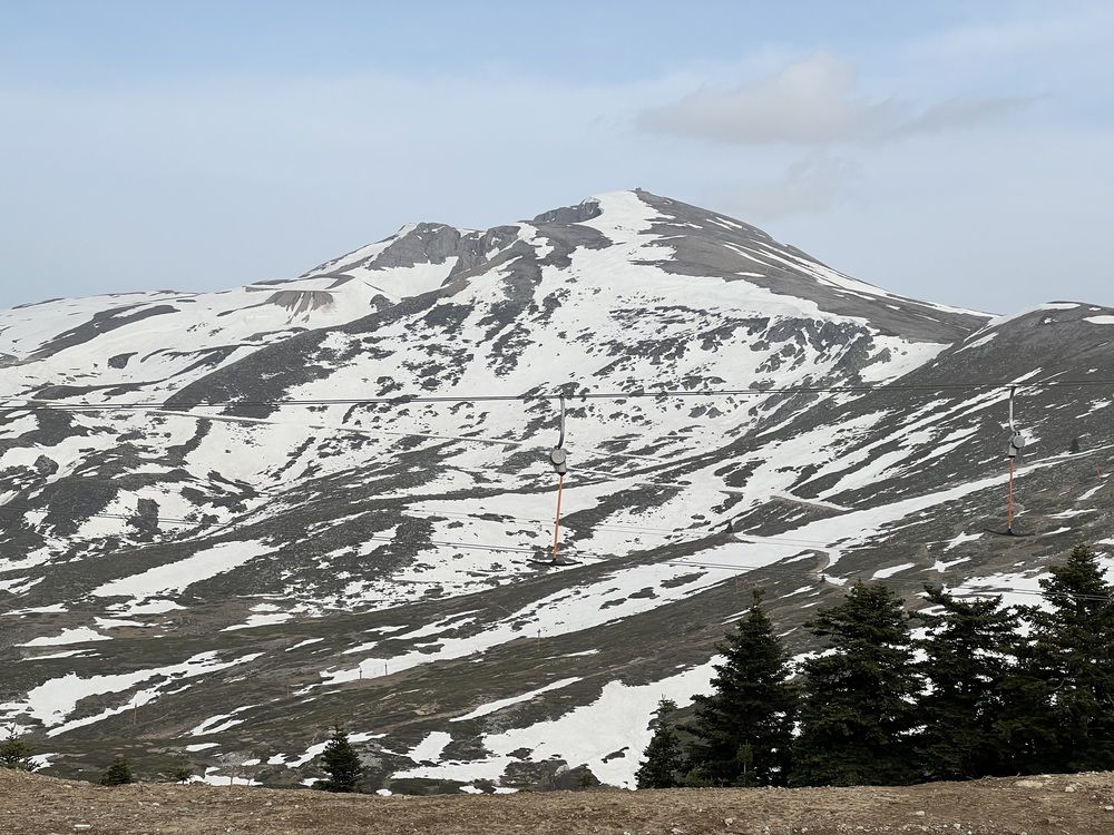 Фотография автора Walaa Ibrahim