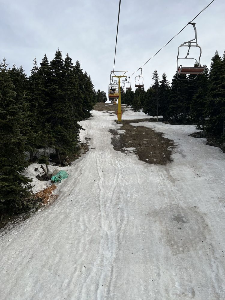 Фотография автора Walaa Ibrahim