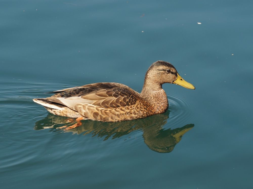 Photograph by Вадим Богатиков