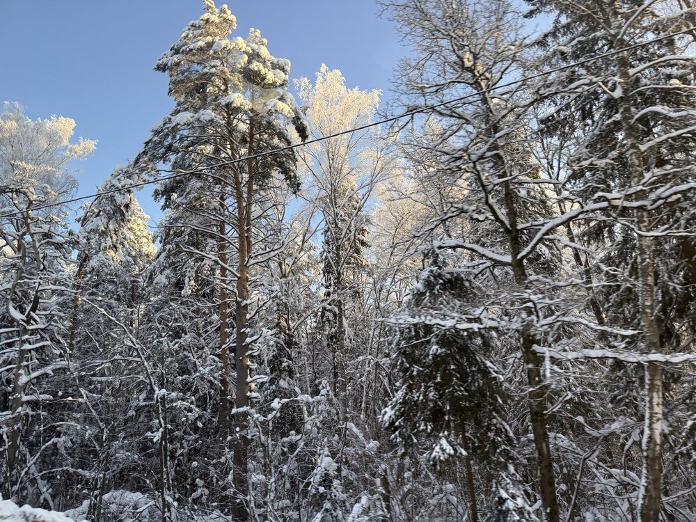 Photograph by Вера Сдвижкова