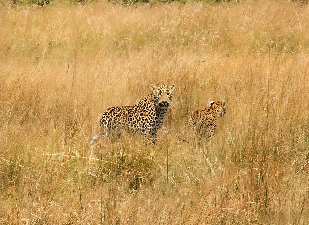 Photograph by Siamak Sabet