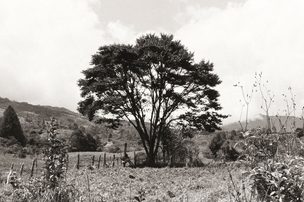 Photograph by Ana Mavisoy