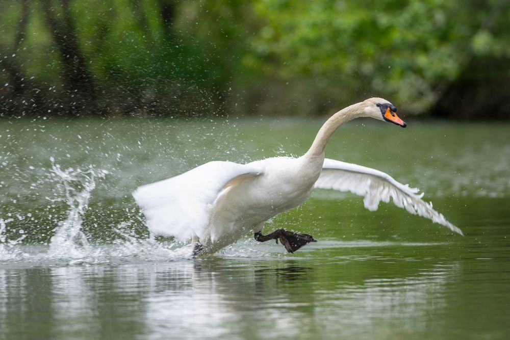 Photograph by Мамсур