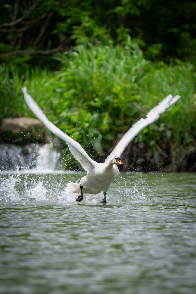 Photograph by Мамсур