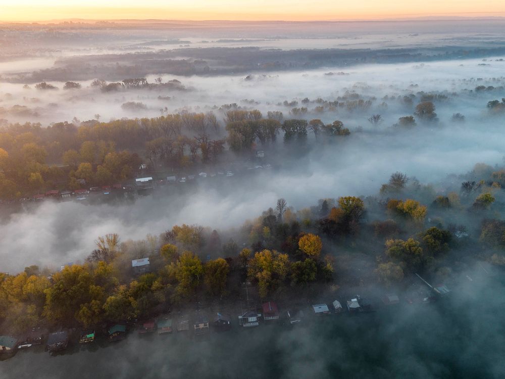 Foggy landscape