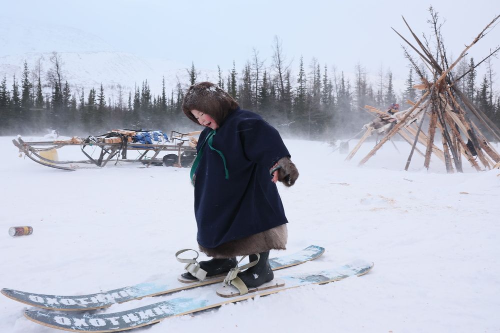 Что-то лыжи мне великоваты!