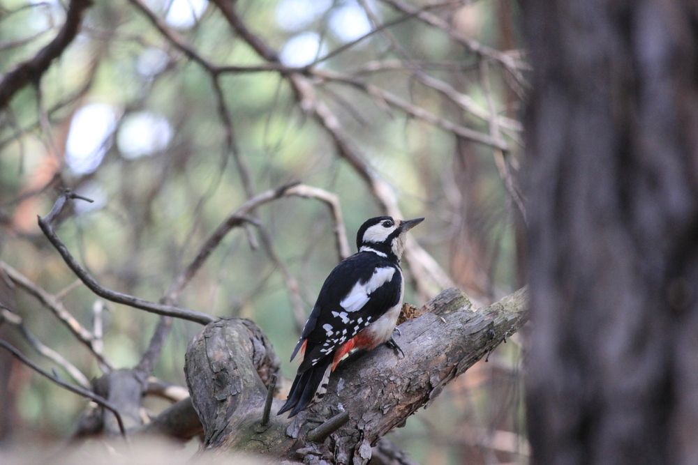 Photograph by Елена Поспелова