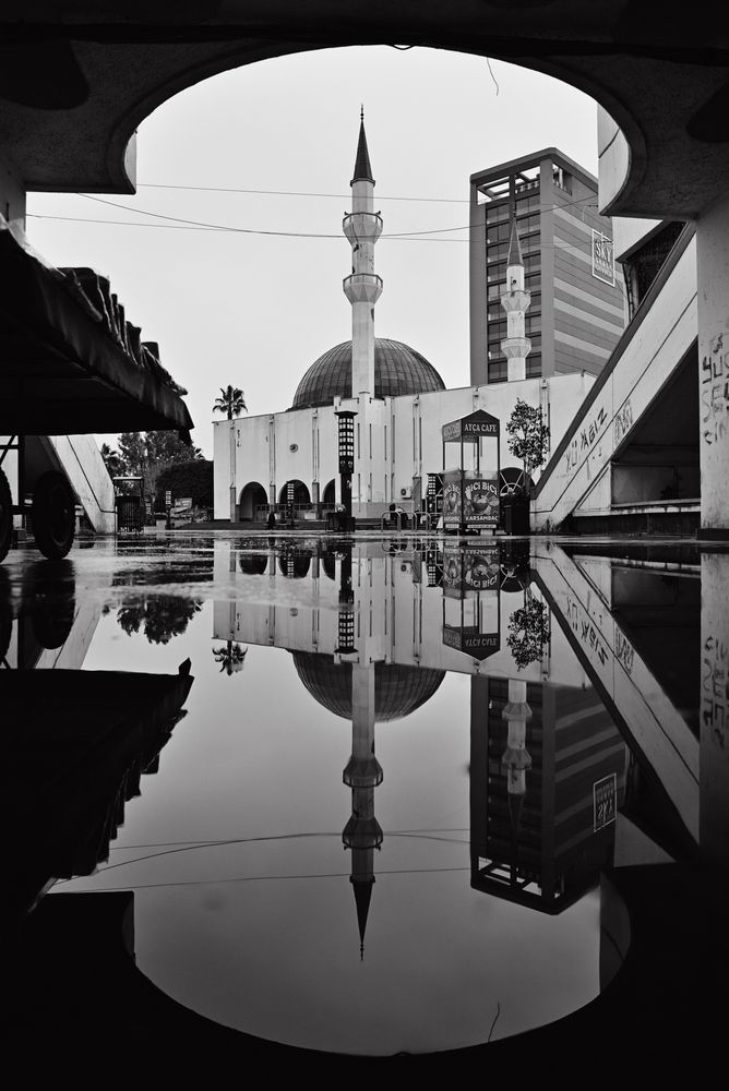 Фотография автора Vladimir Shish