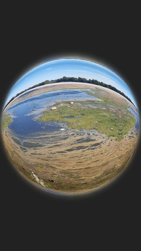 Фотография автора Margarita Teterkina