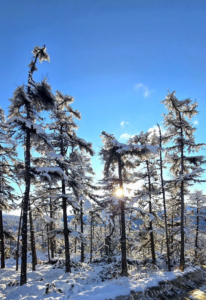 Фотография автора Лариса Ким