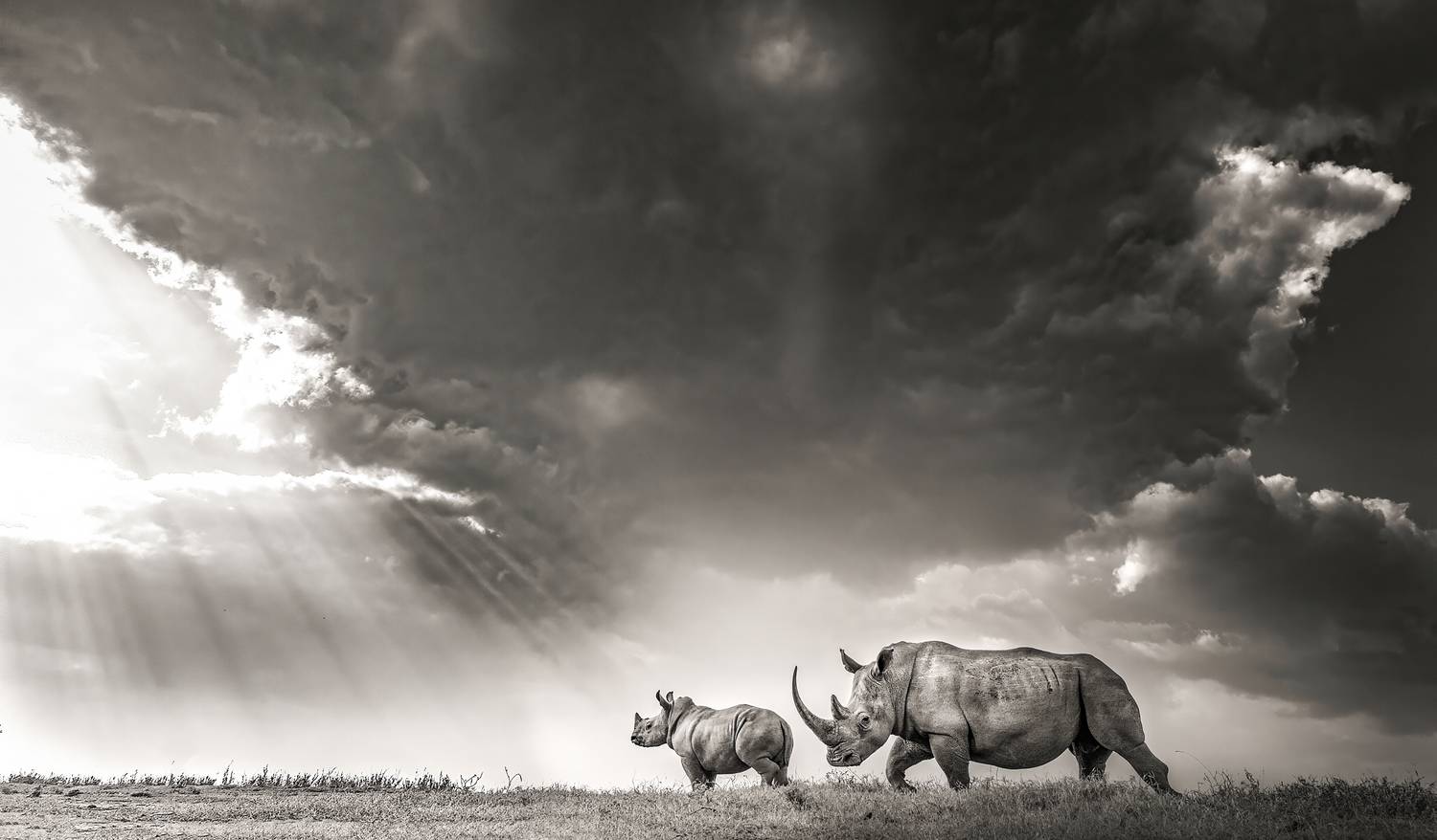 With my Mom With my Mom