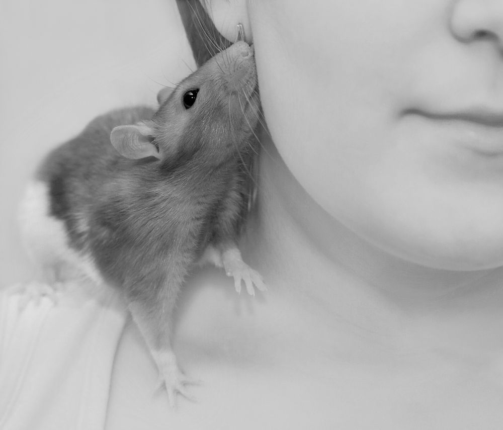 Photograph by Slutskiy Nikolay