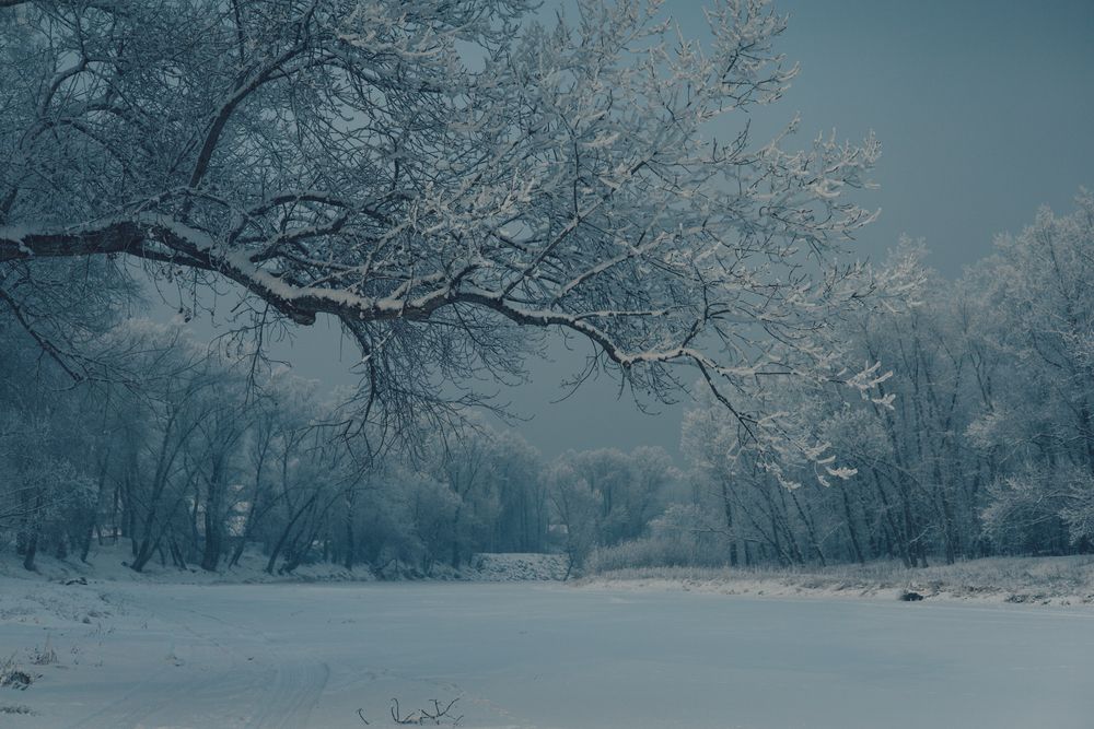 Photograph by Елена