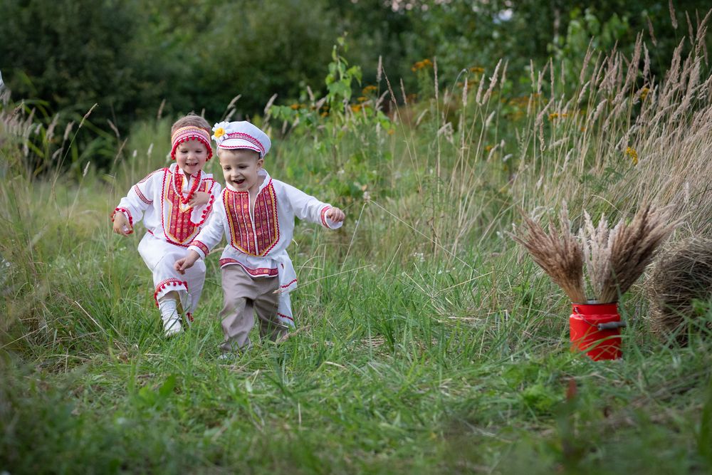 Photo #13134310