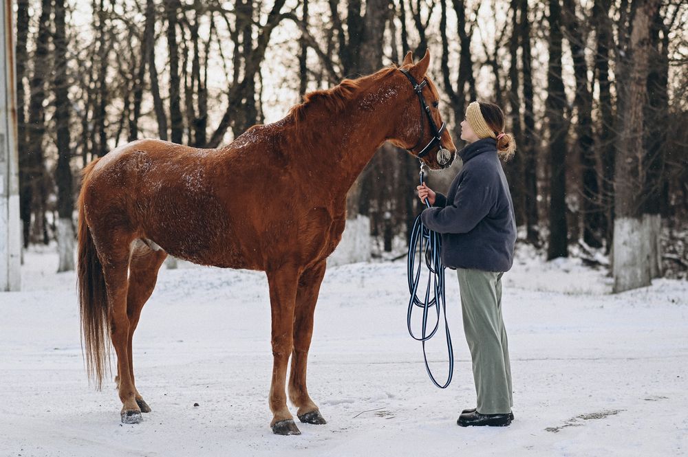 Photograph by Мария Горепёкина