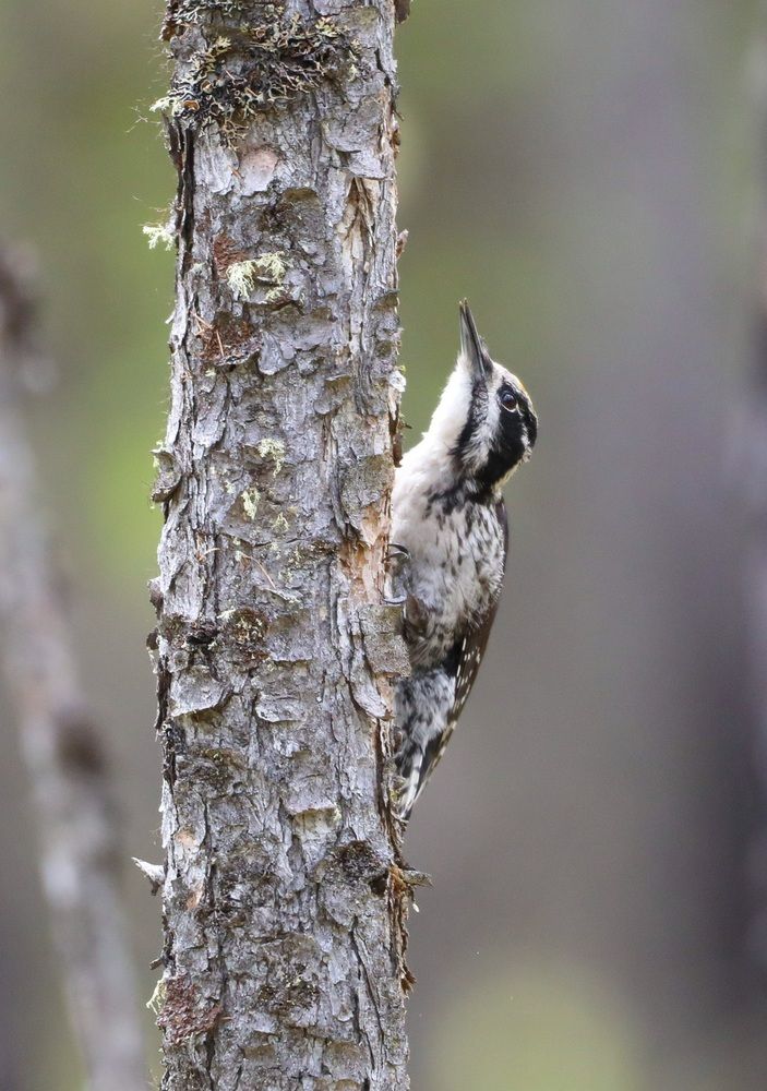 Фотография автора Юлия Егорова