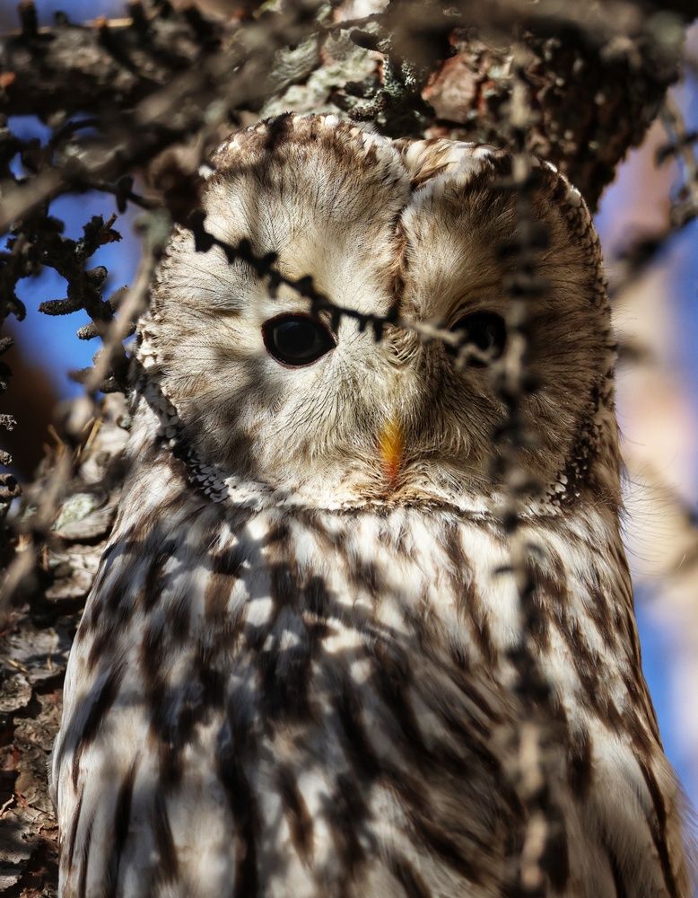 Фотография автора Юлия Егорова