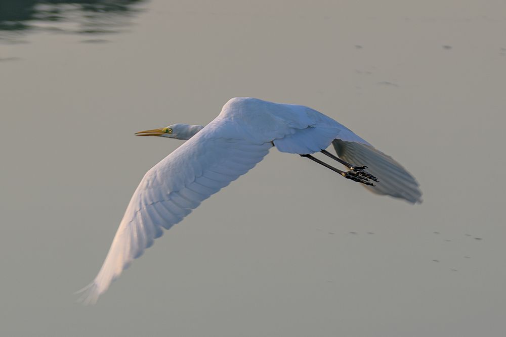 Photograph by Демьян Лопатов