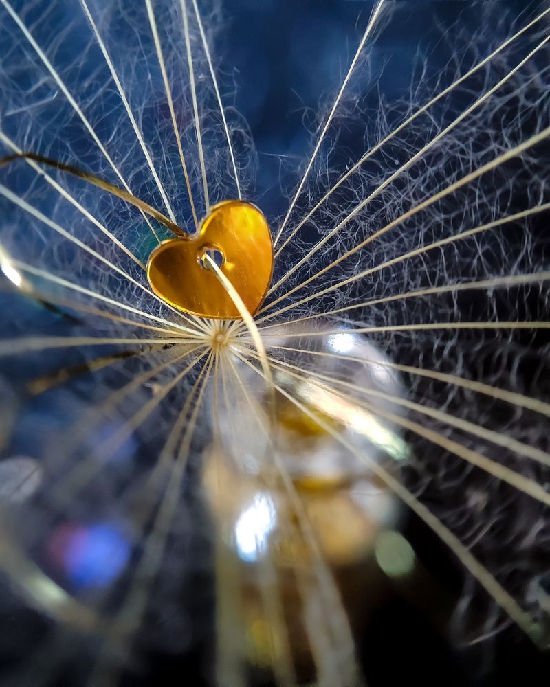 Photograph by Светлана Смирнова