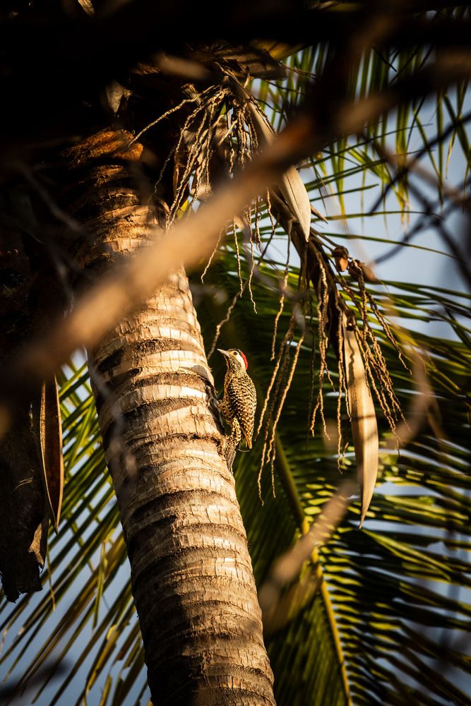 Photograph by Marcelo Vaz