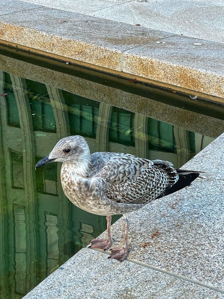 Photograph by Nadezhda