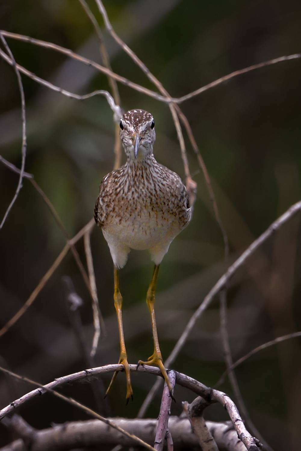 Фотография #13134435