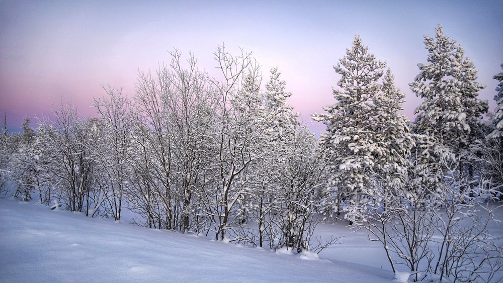 Photograph by Alexandr Klyuev