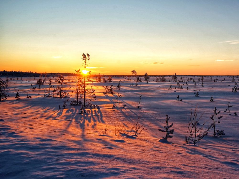 Photograph by Alexandr Klyuev