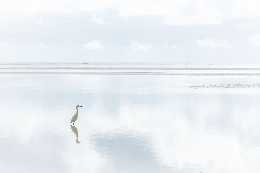 Photograph by Marcelo Vaz