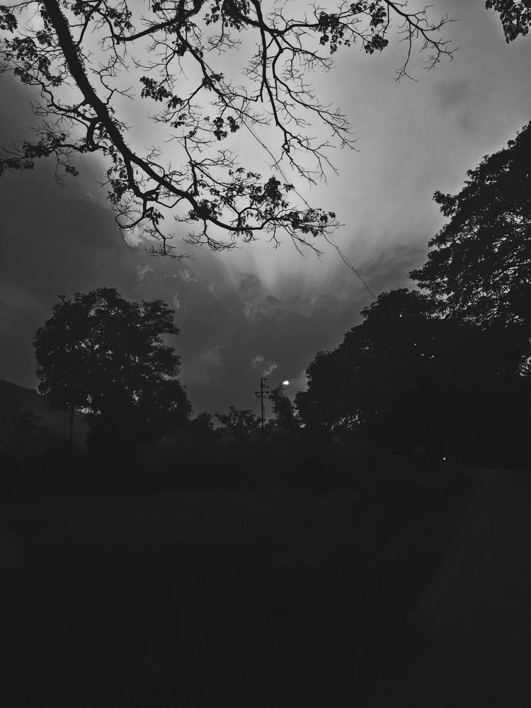 Фотография автора Vivek Patil