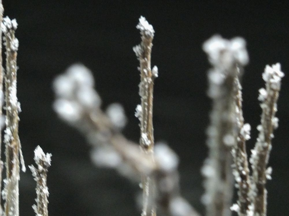 Фотография автора Татьяна Мишкина