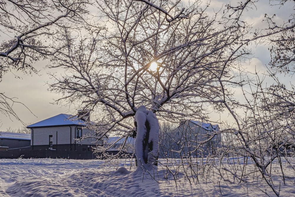 После рассвета зимним утром