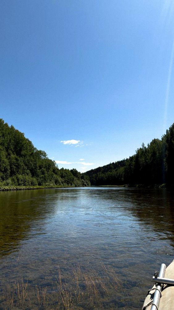 Photograph by Светлана Филатова