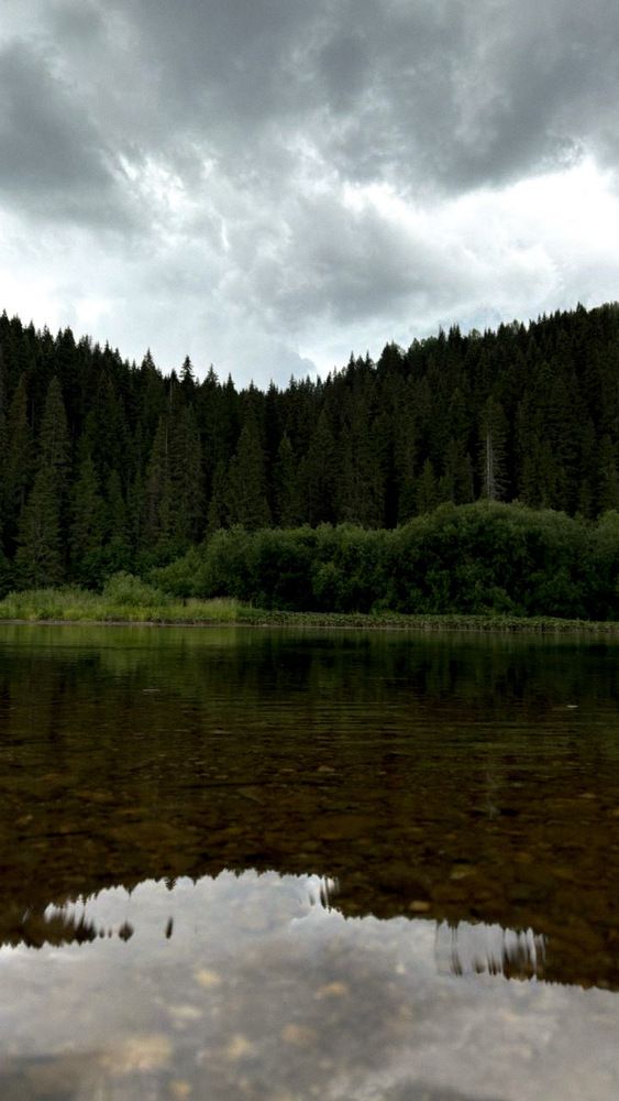 Photograph by Светлана Филатова