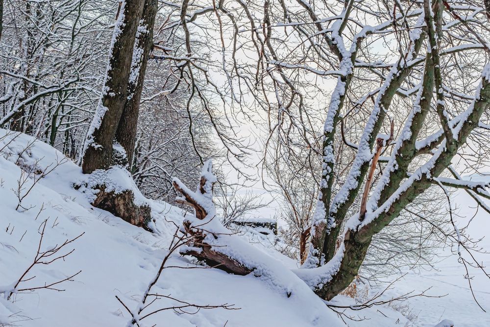 На берегу утром..