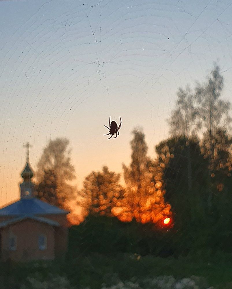 Photograph by Анастасия
