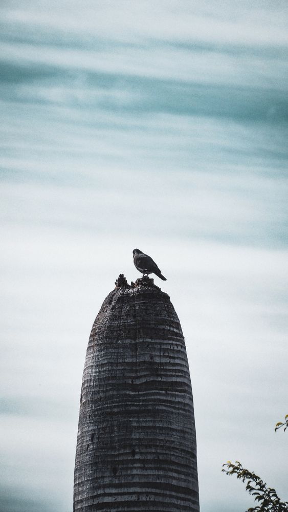 Photograph by Daniel Pichardo