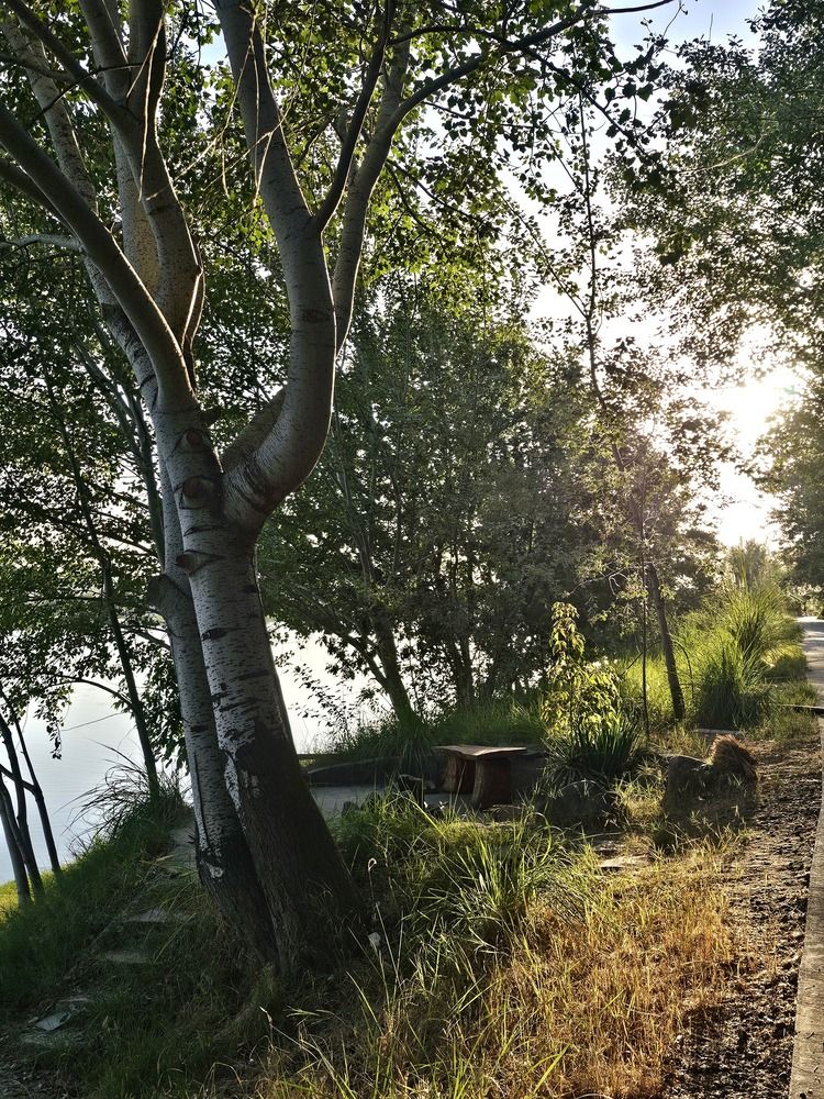 Photograph by Александра Ли