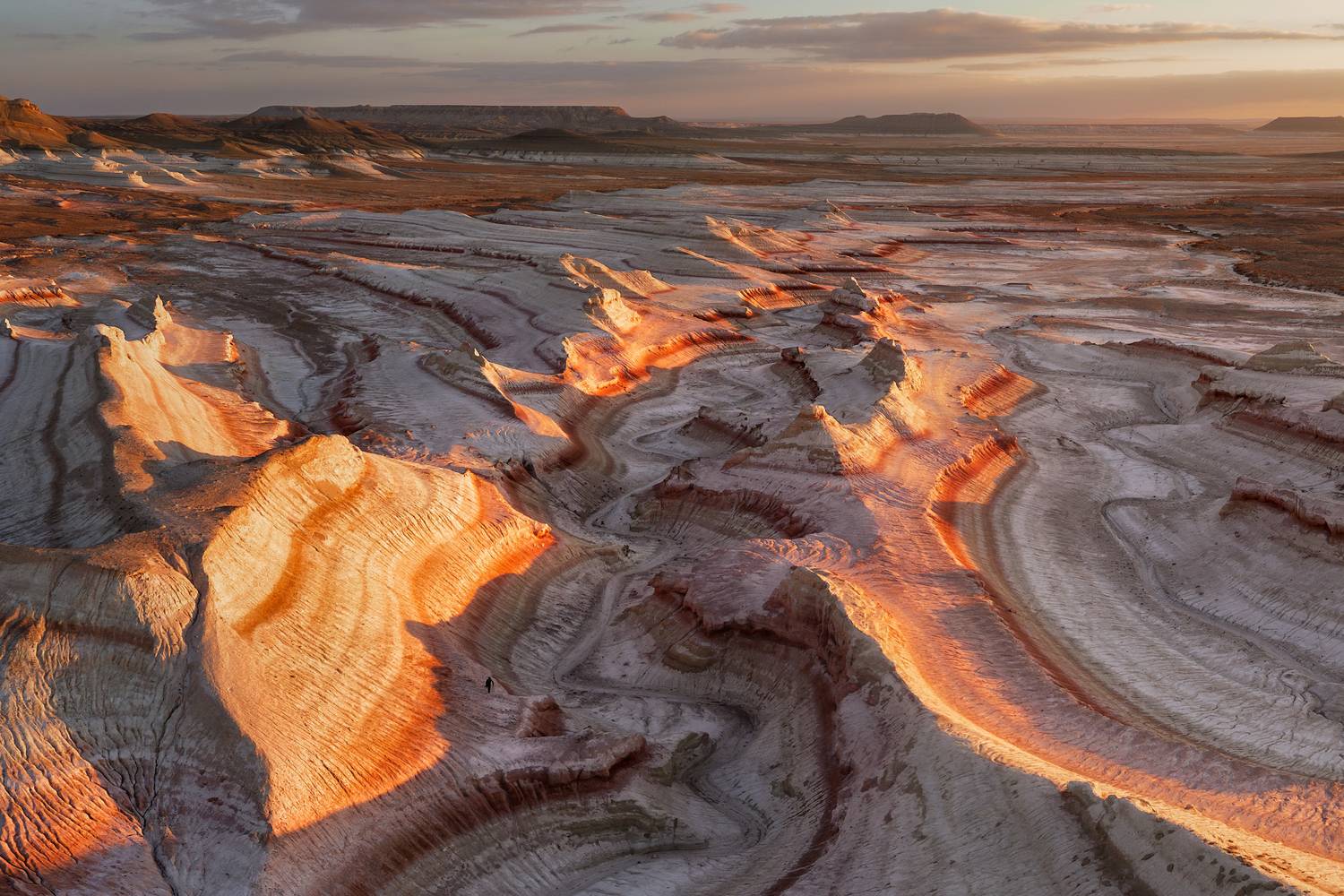 Розовый лабиринт