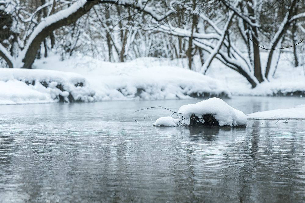 Photograph by Михаил Мак