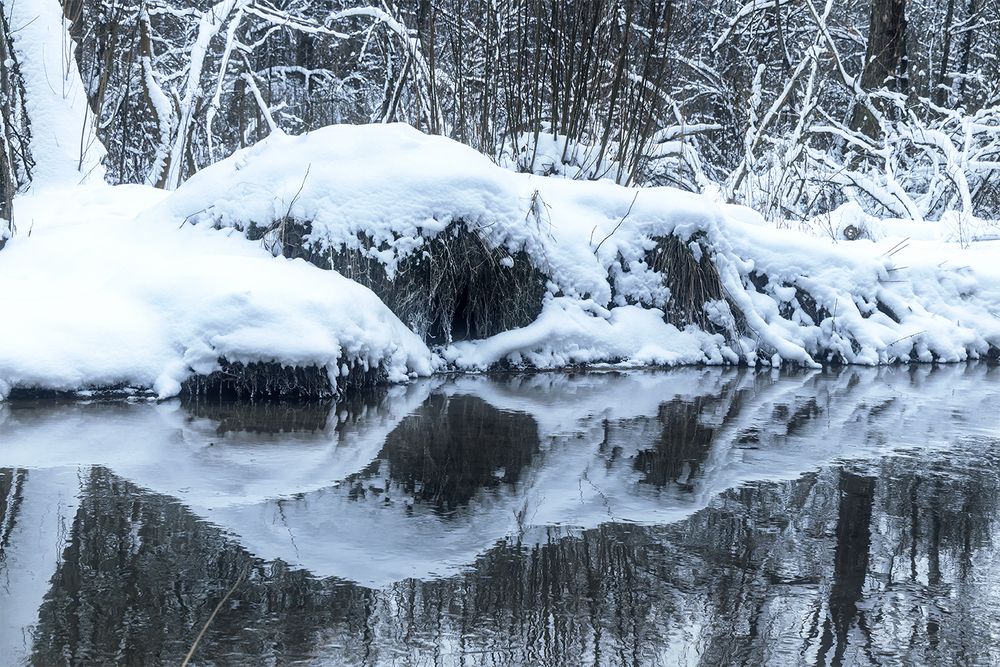 Photograph by Михаил Мак