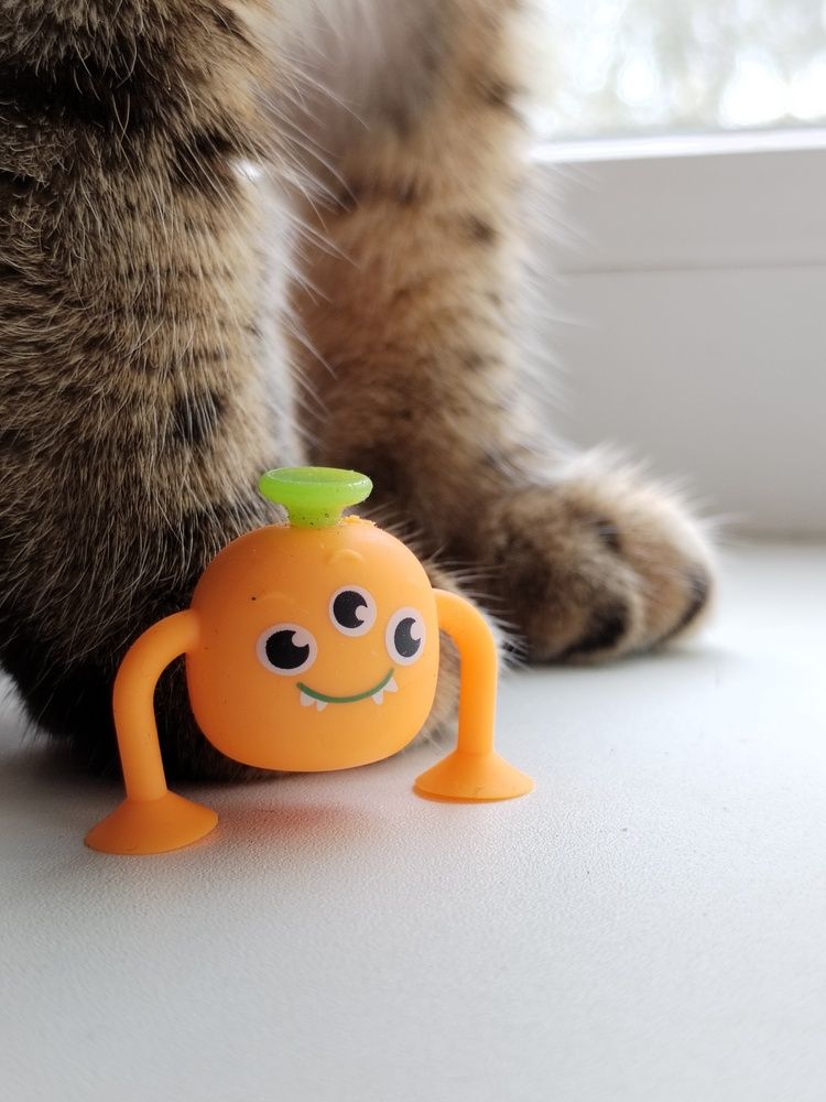 Photograph by Юлия Финогенова