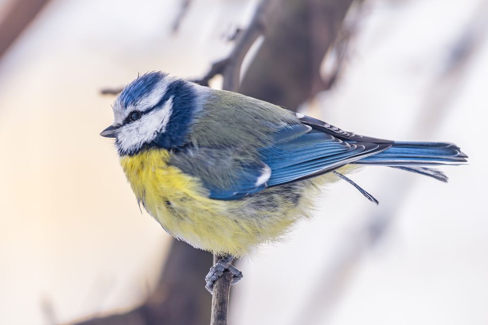 Photograph by Siarhei Saladukhin