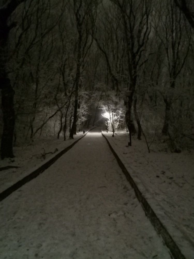 Photograph by Ирина Садовникова